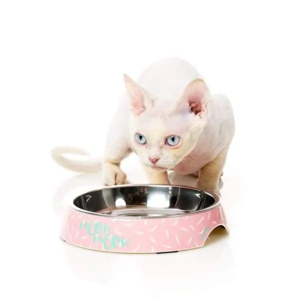 [15% OFF] Fuzzyard Melamine Featherstorm Cat Bowl