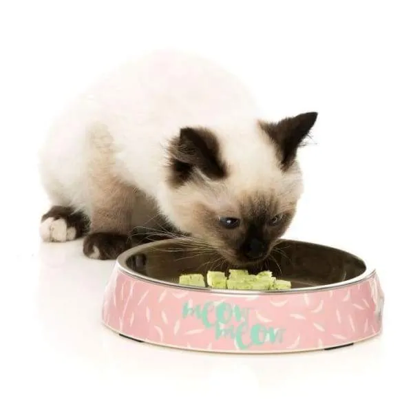 [15% OFF] Fuzzyard Melamine Featherstorm Cat Bowl