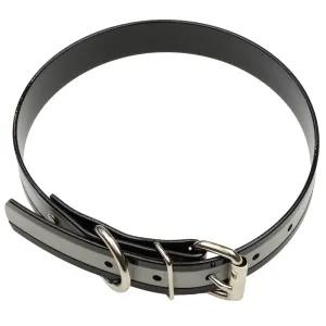 1" Reflective All Weather Collar