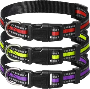 3 Pieces Dog Collar