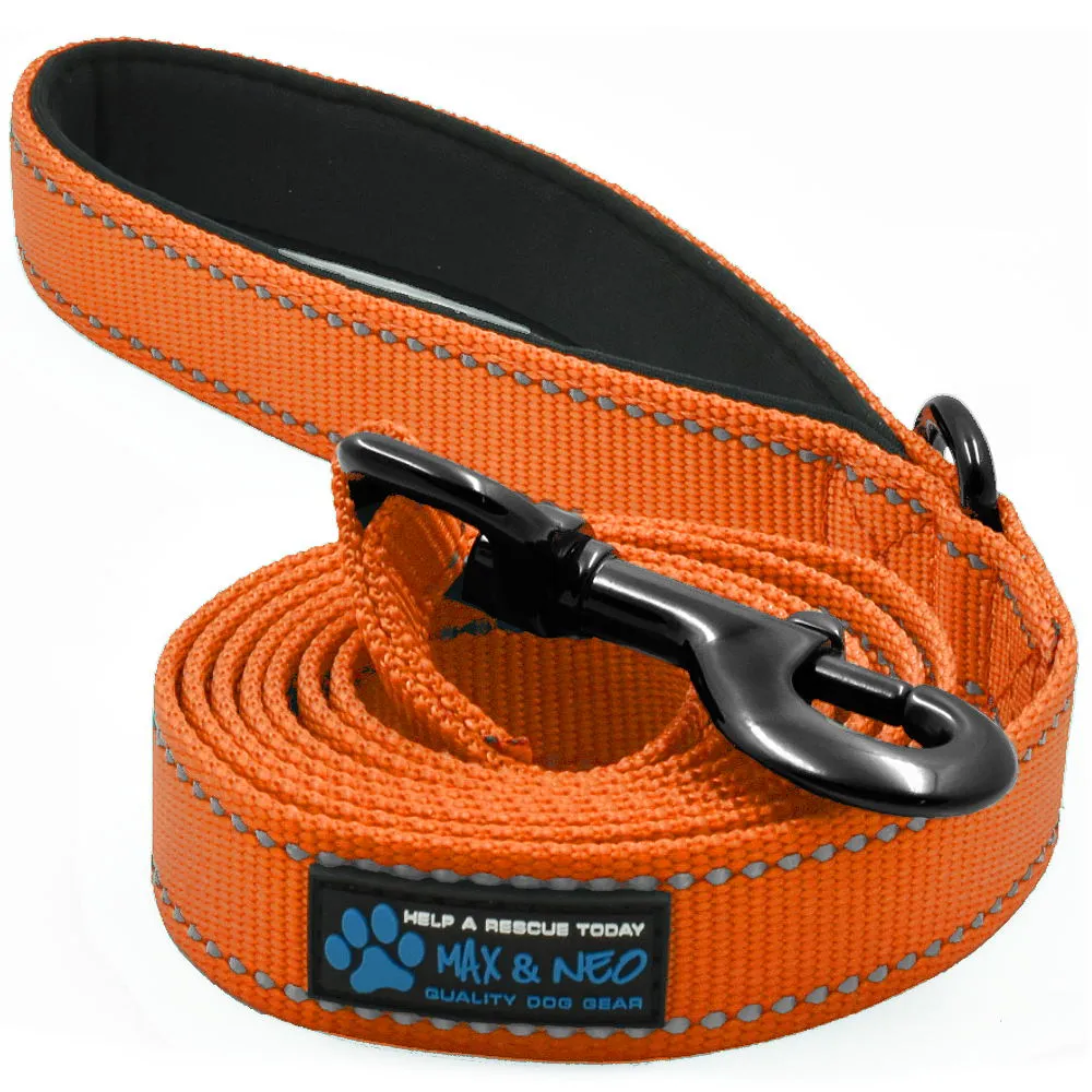 6 FT x 1" Wide Nylon Reflective Dog Leash