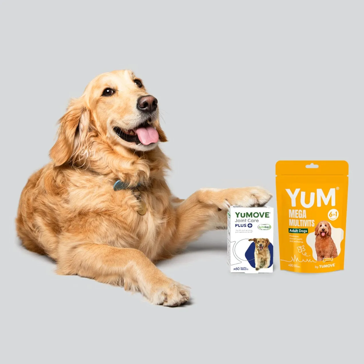 Adult Dog Bundle Lite