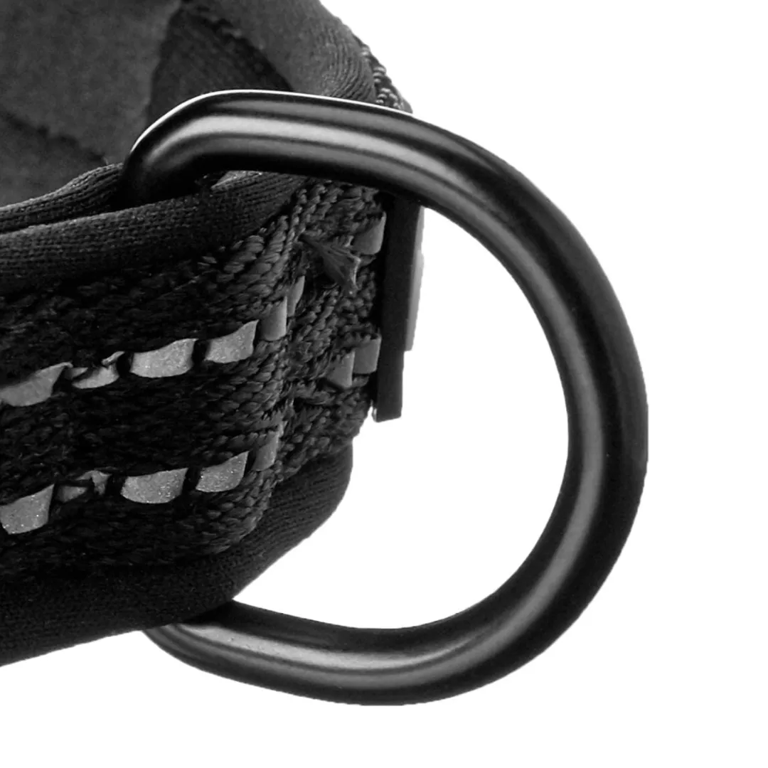Alcott Explorer Dog Collar