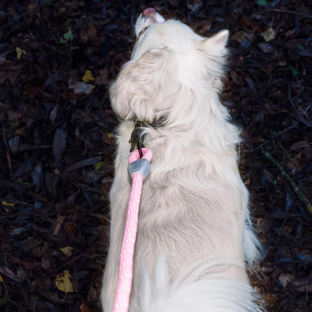 AllPetSolutions Reflective Rope Dog Lead, Green, 140cm