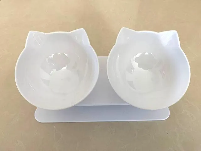 Best Elevated Cat Bowls