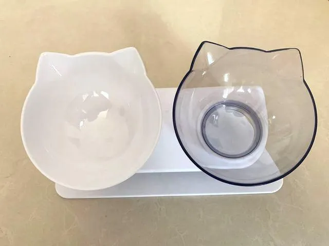 Best Elevated Cat Bowls