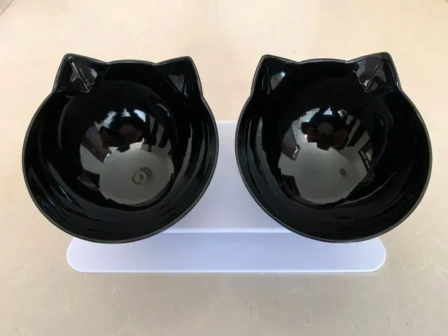 Best Elevated Cat Bowls
