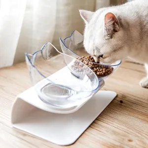 Best Elevated Cat Bowls