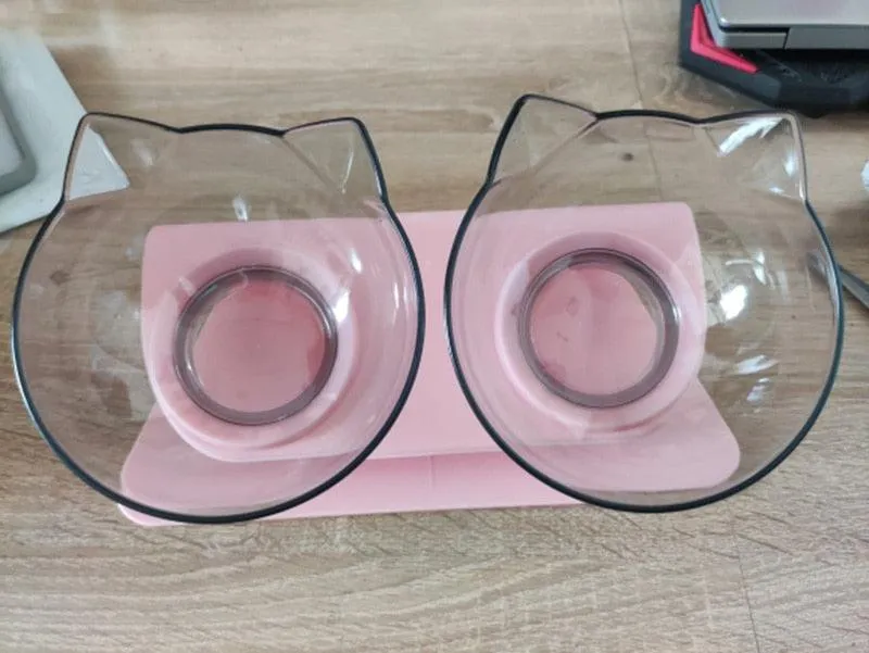 Best Elevated Cat Bowls