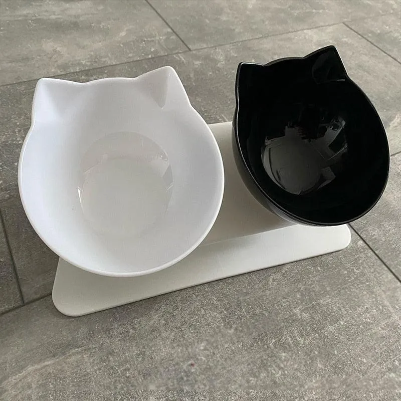 Best Elevated Cat Bowls