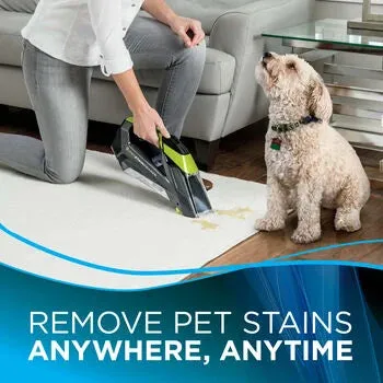 BISSELL Pet Stain Eraser Cordless Portable Carpet Cleaner
