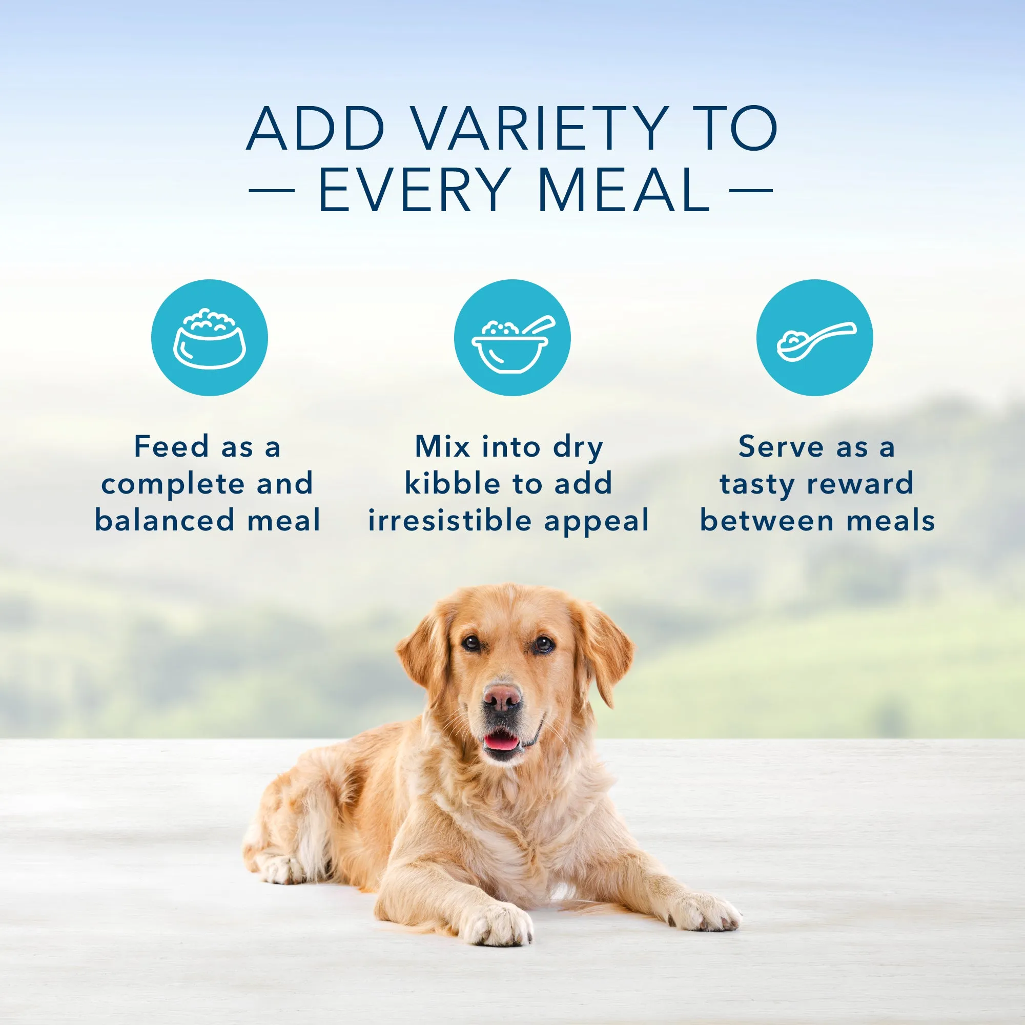 Blue Buffalo Homestyle Recipe Natural Adult Wet Dog Food, Chicken 12.5-oz, Case of 12
