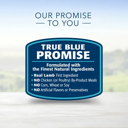 Blue Buffalo Life Protection Formula Natural Adult Dry Dog Food, Lamb and Brown Rice