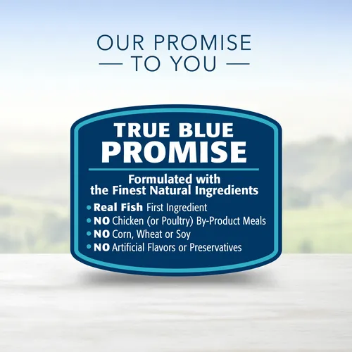 Blue Buffalo Life Protection Formula Natural Adult, Fish & Brown Rice 30-lb, Dry Dog Food