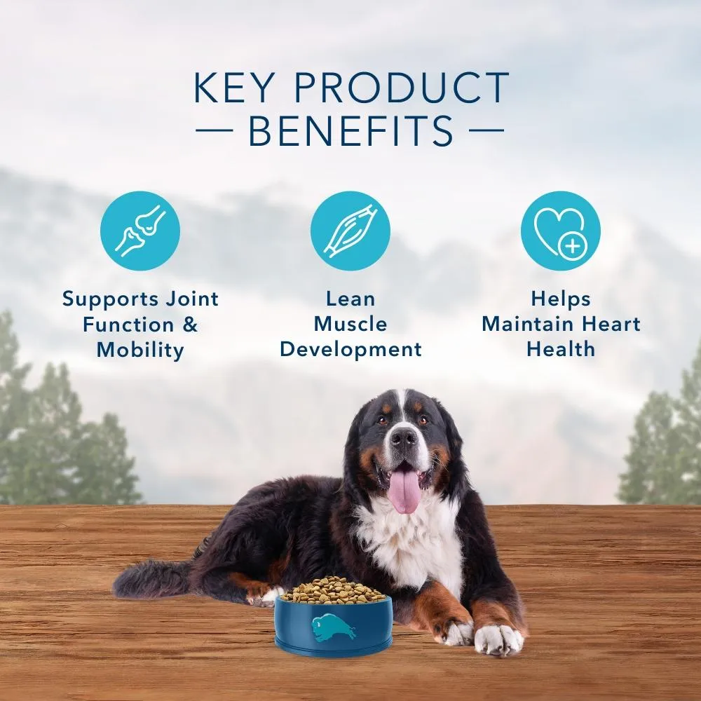 Blue Buffalo Wilderness High Protein Salmon Recipe Large Breed Dry Dog Food