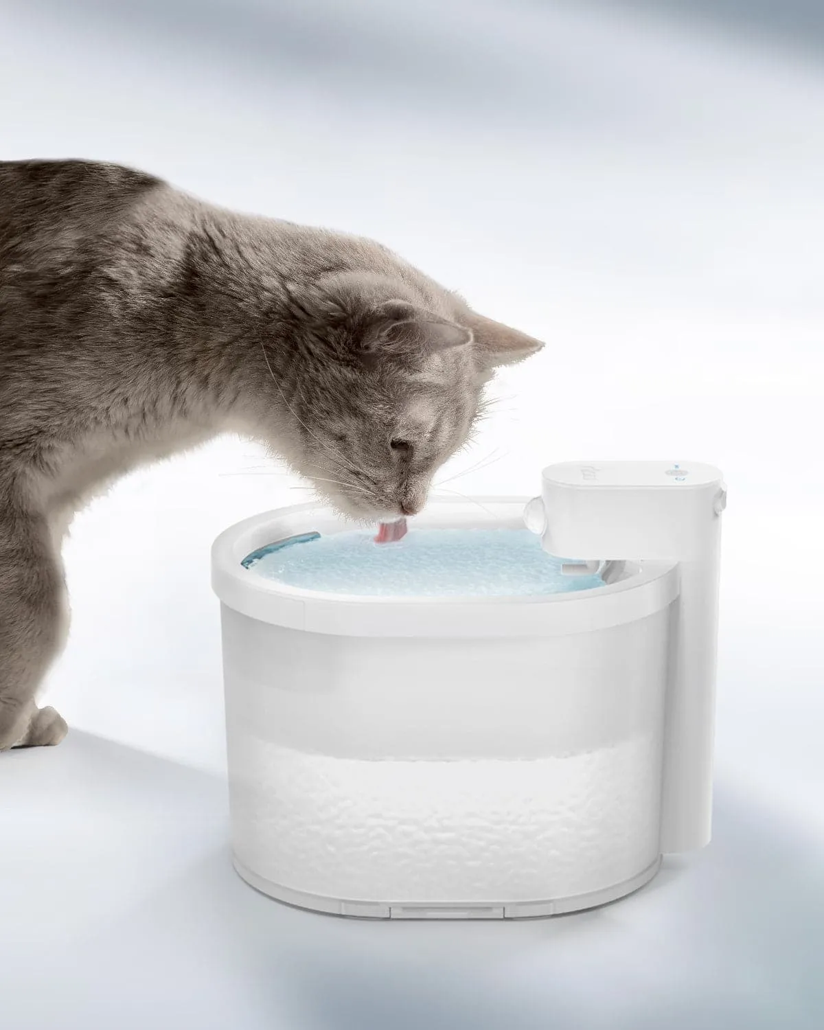 [BOGO] Wireless Cat Water Fountain & Free Cat Bowl