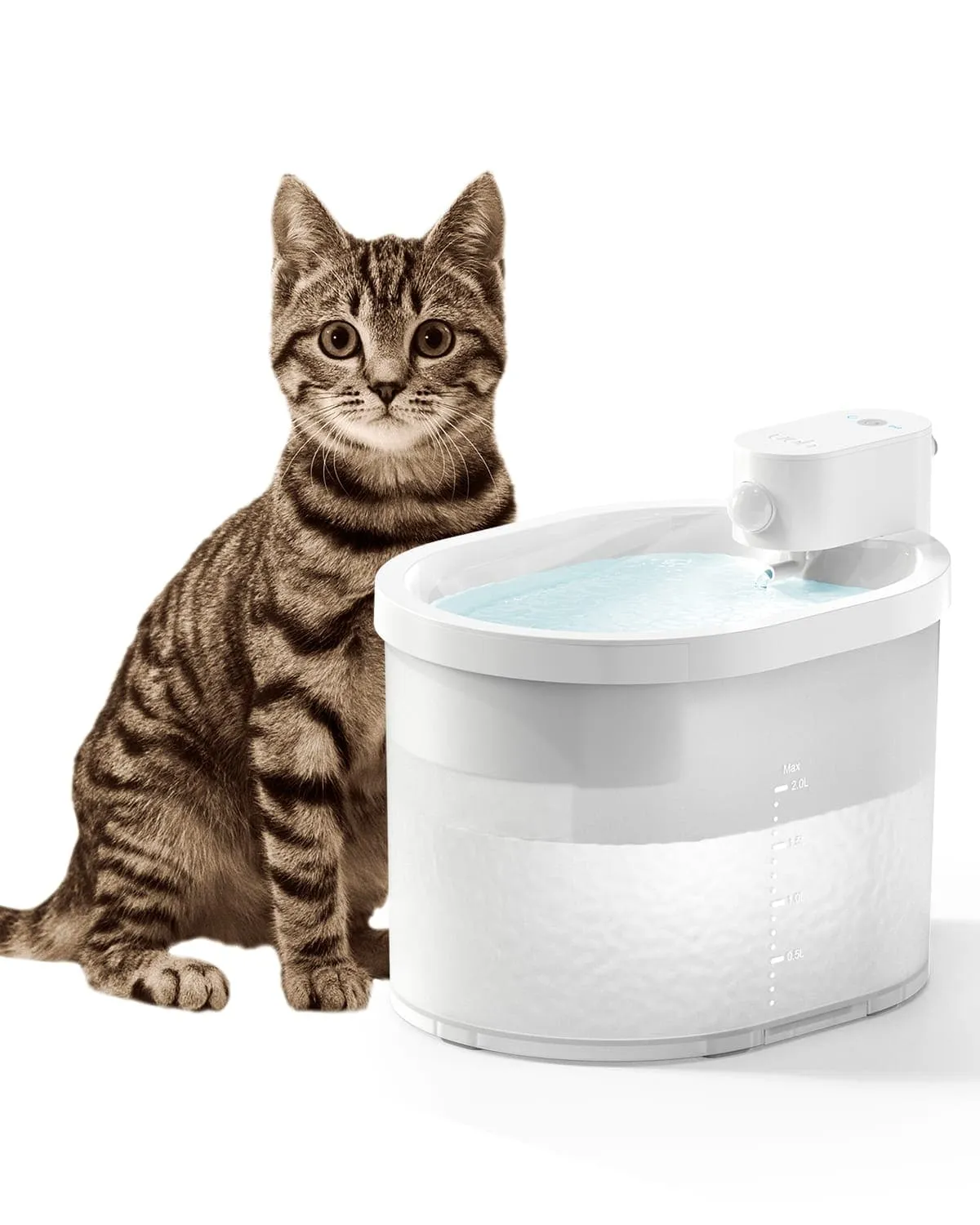 [BOGO] Wireless Cat Water Fountain & Free Cat Bowl
