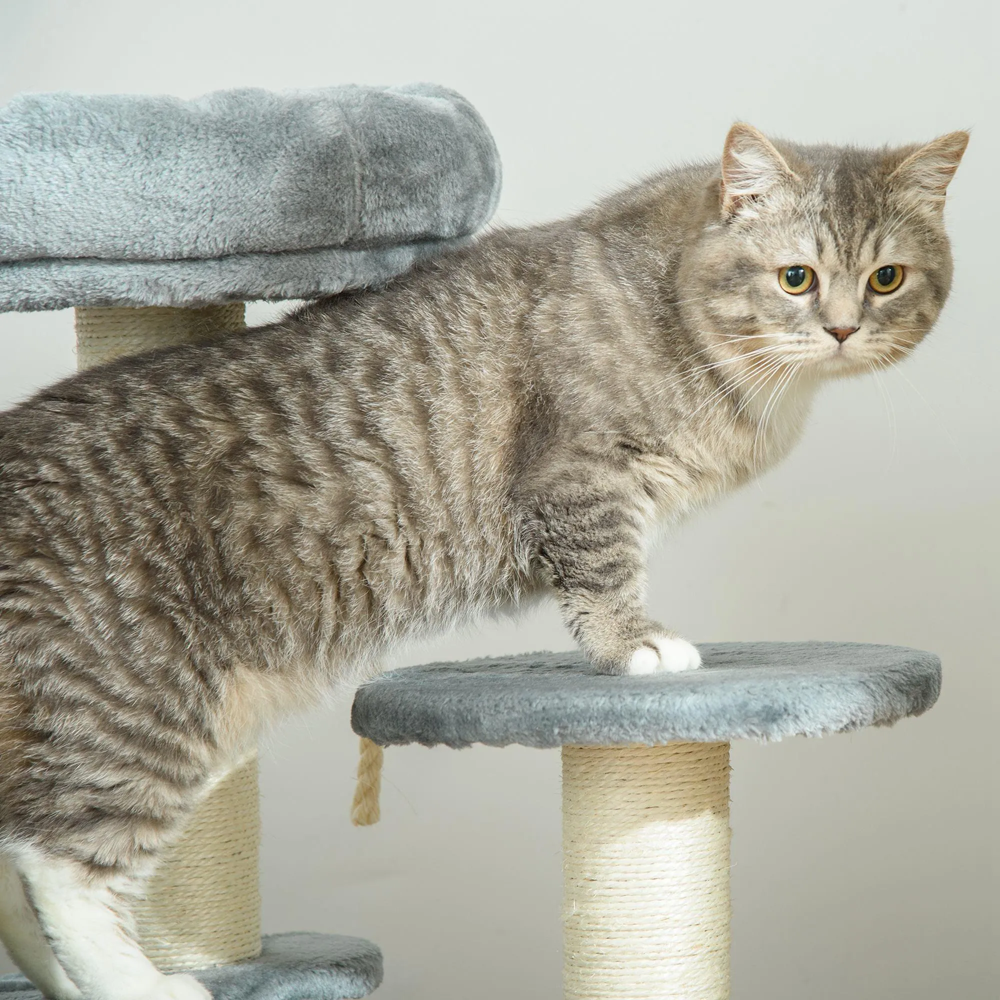 Cat Scratching Post and Playhouse, 65cm - Grey