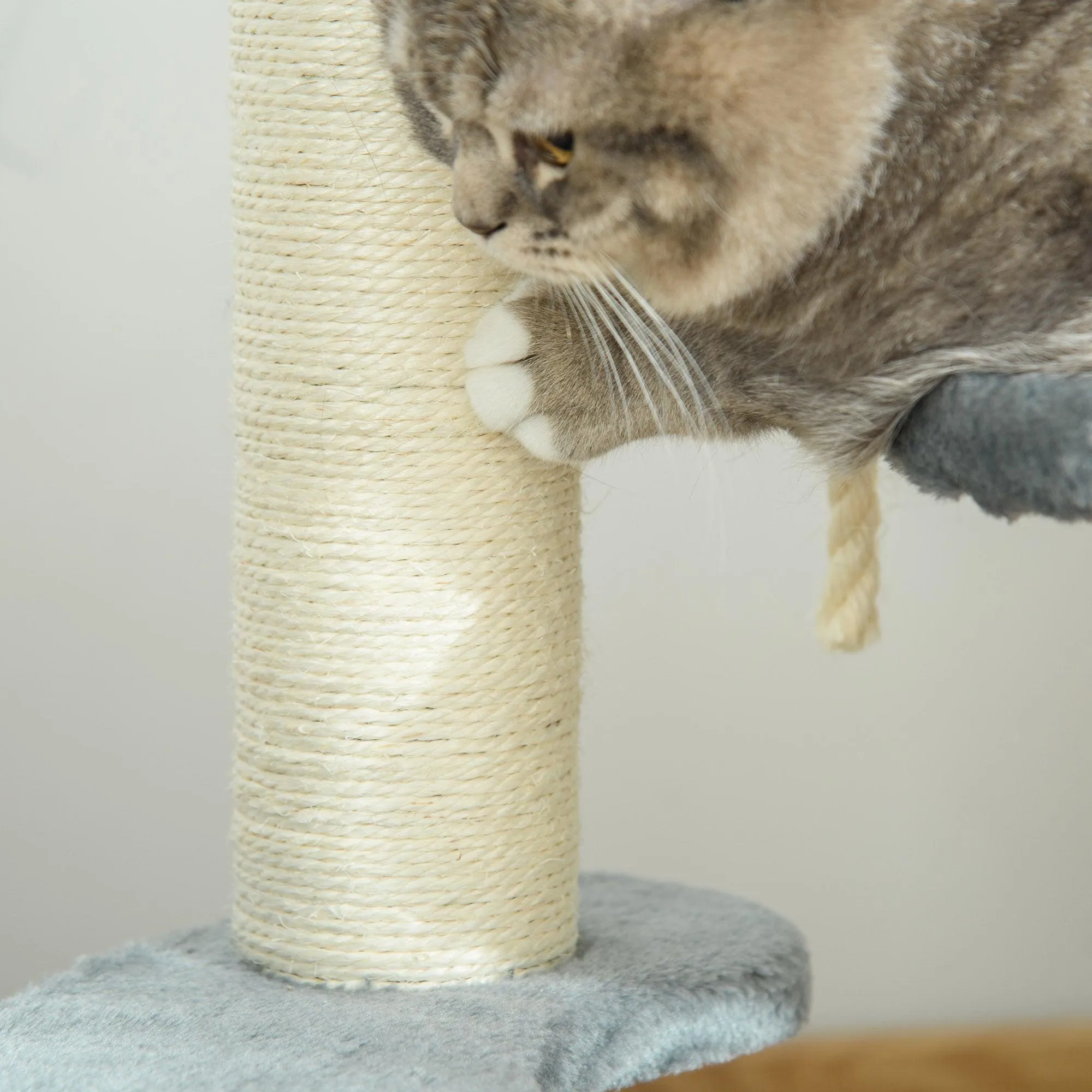 Cat Scratching Post and Playhouse, 65cm - Grey