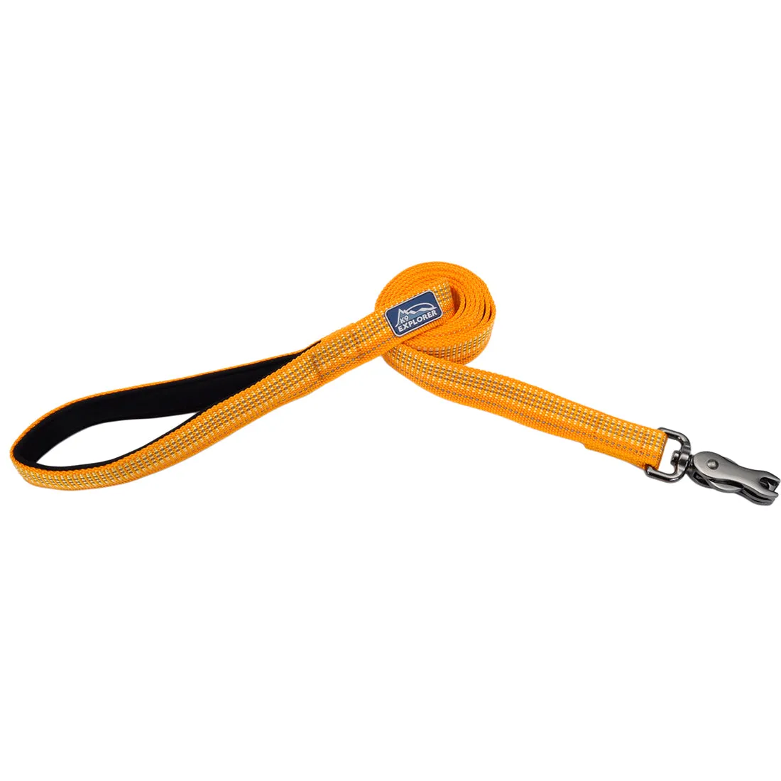 Coastal K9 Explorer Brights Reflective Dog Leash