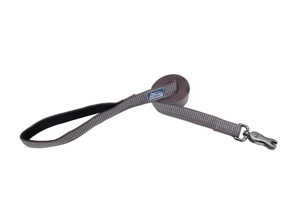 Coastal K9 Explorer Brights Reflective Dog Leash