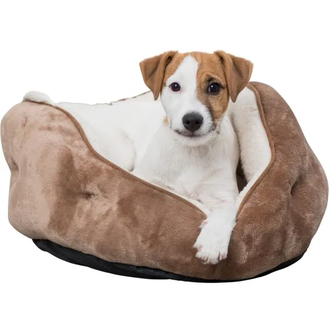 Cosma Bed