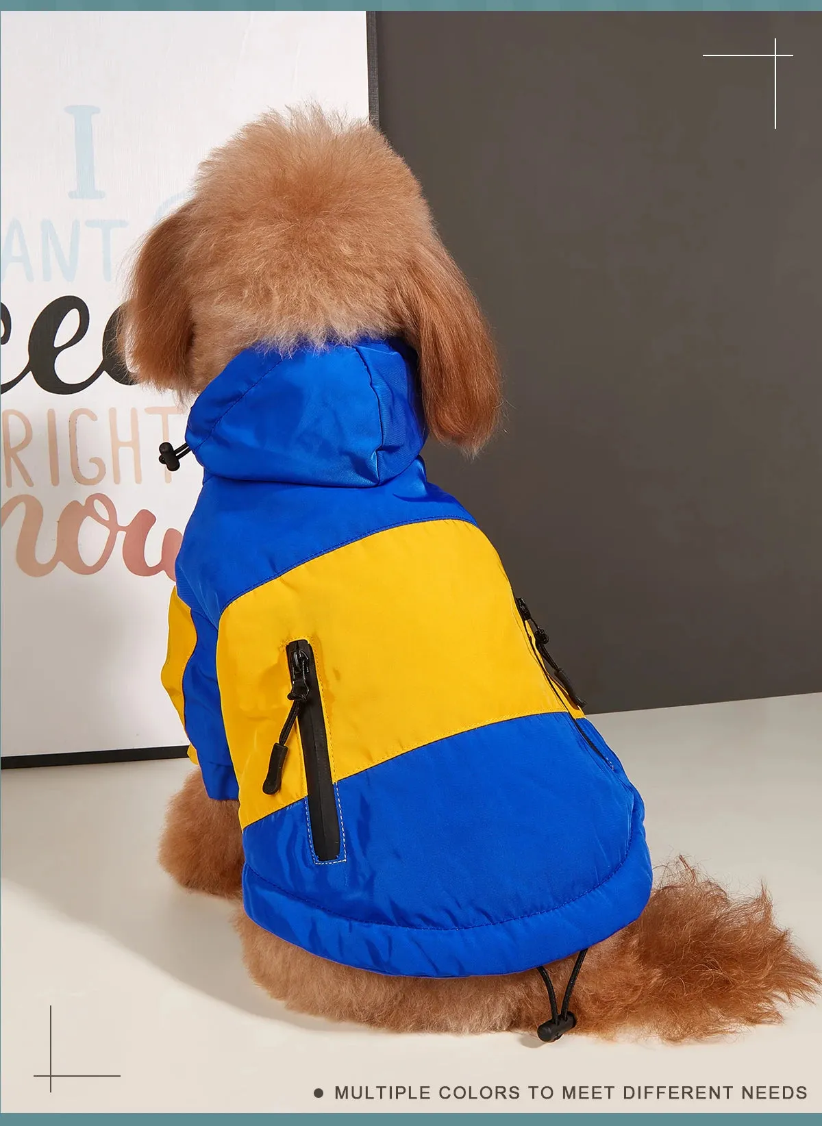 Cozy Dog Sweaters for Winter Fun
