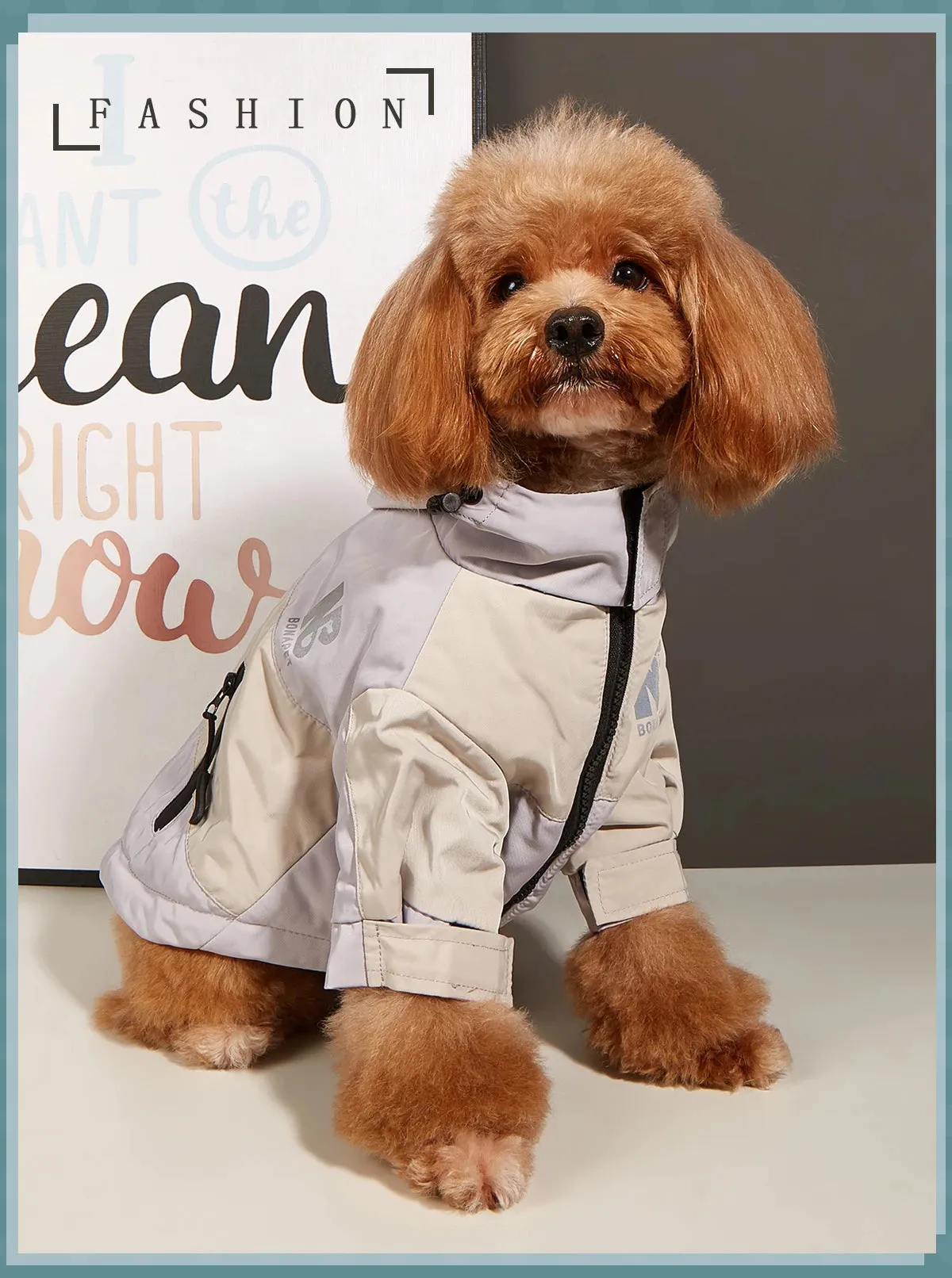Cozy Dog Sweaters for Winter Fun