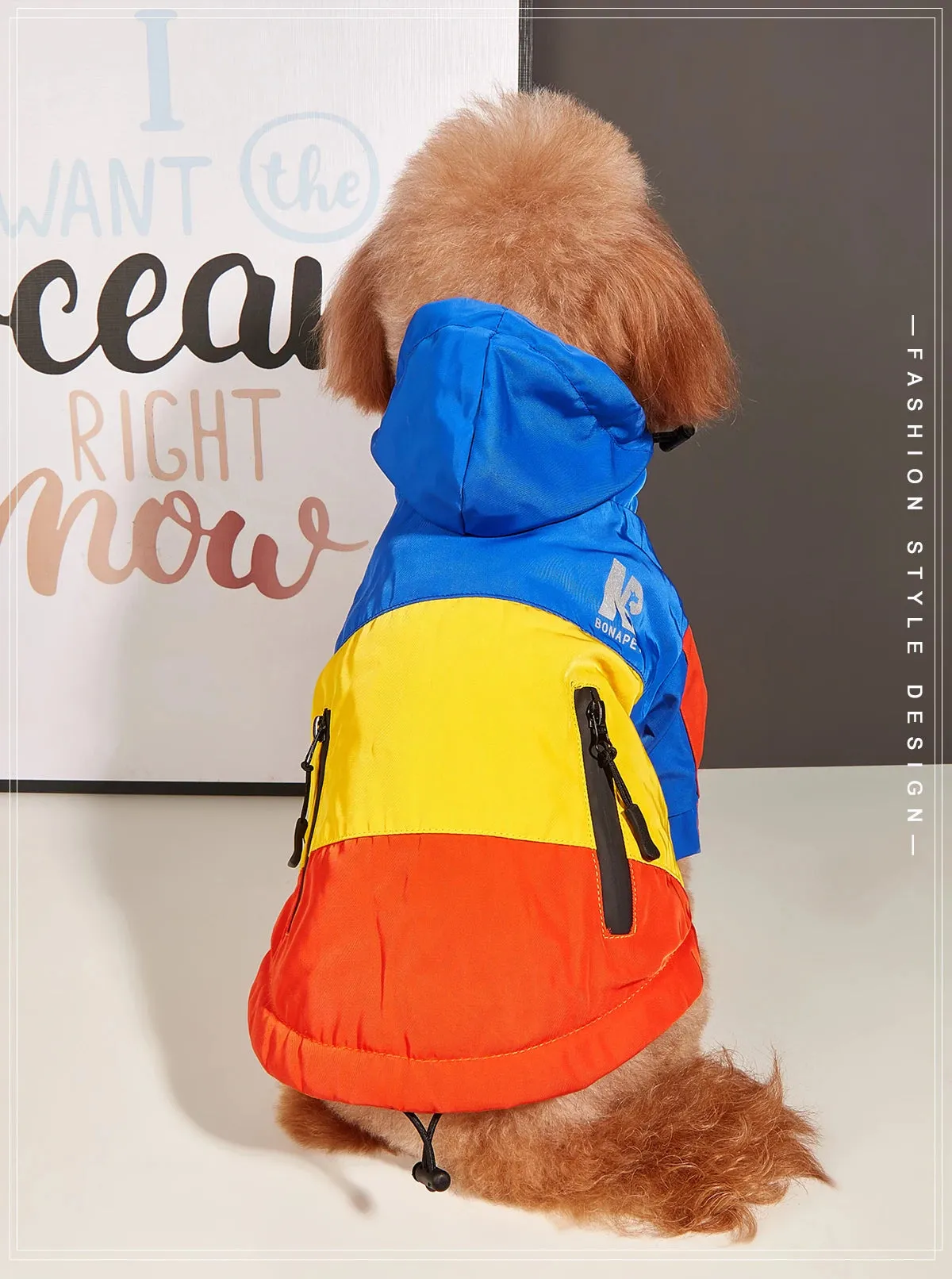 Cozy Dog Sweaters for Winter Fun