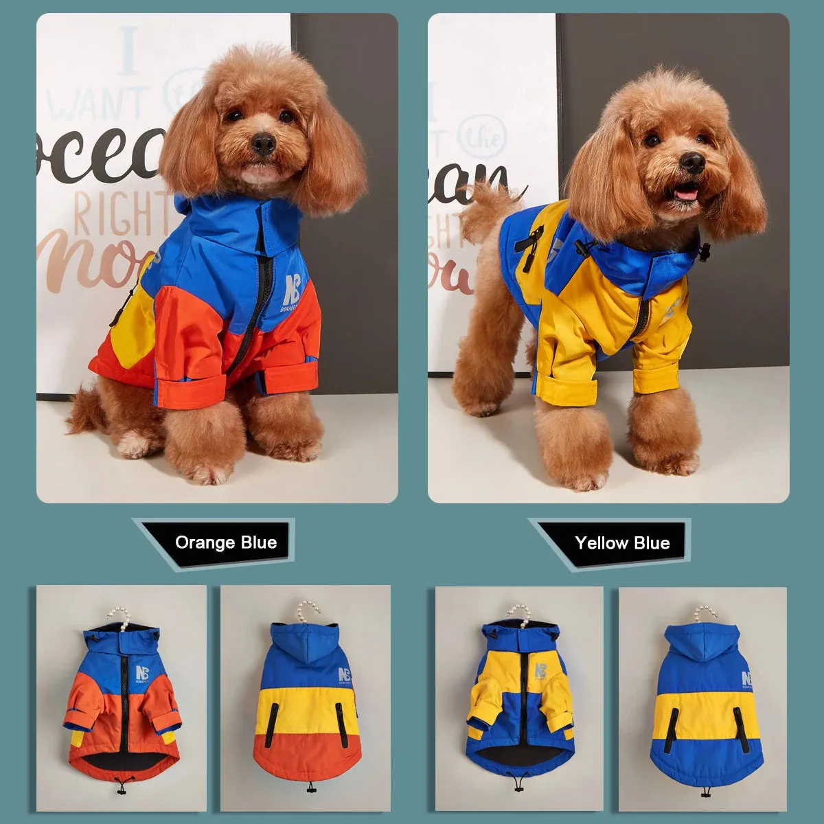 Cozy Dog Sweaters for Winter Fun