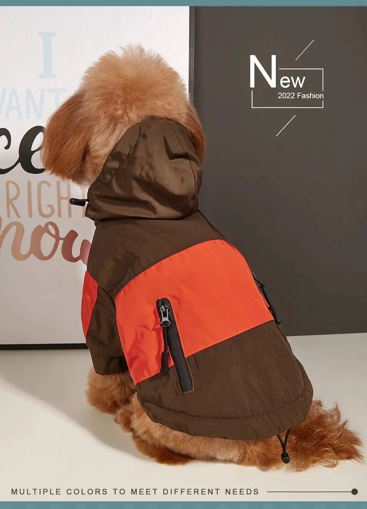 Cozy Dog Sweaters for Winter Fun