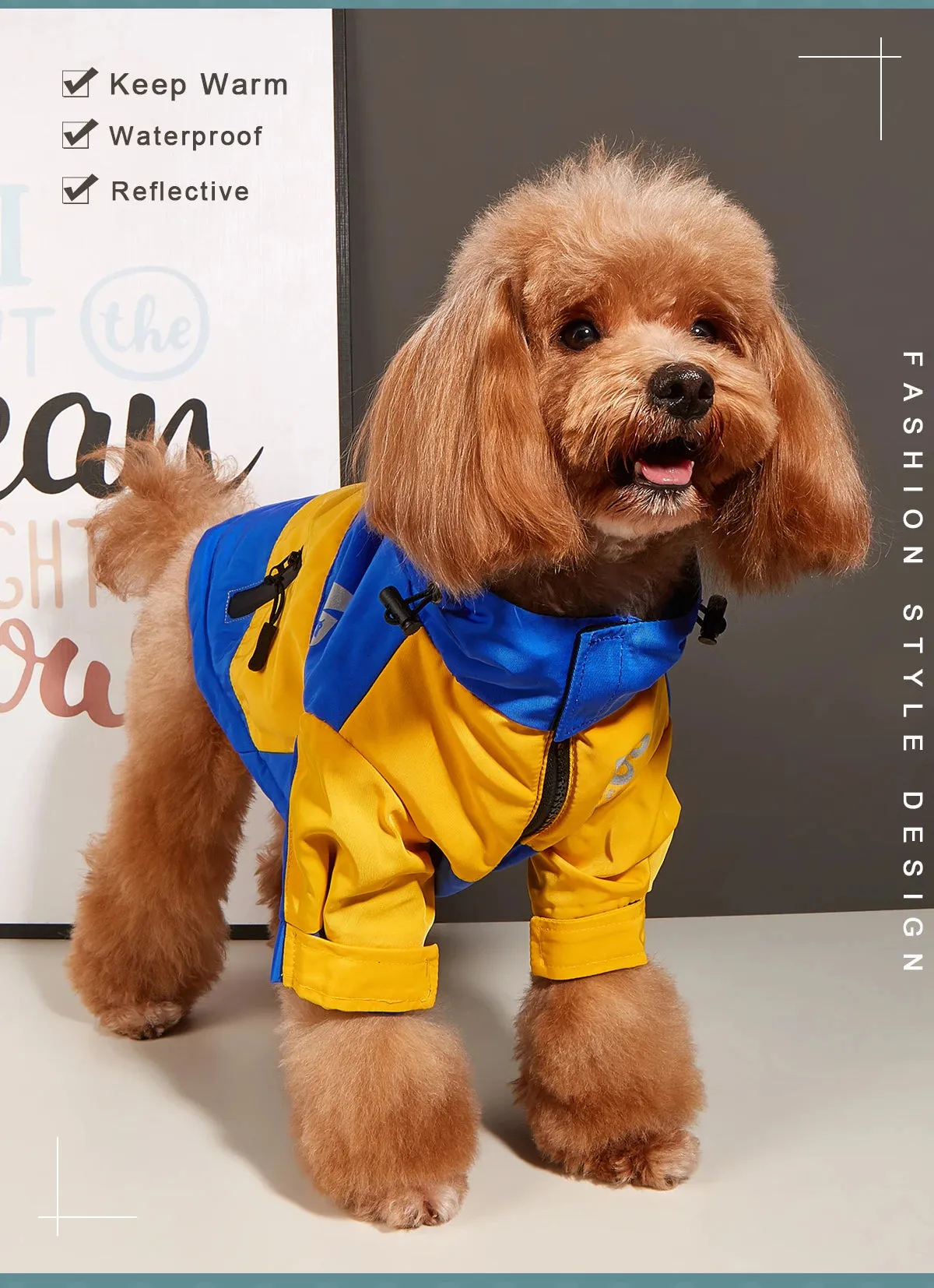 Cozy Dog Sweaters for Winter Fun