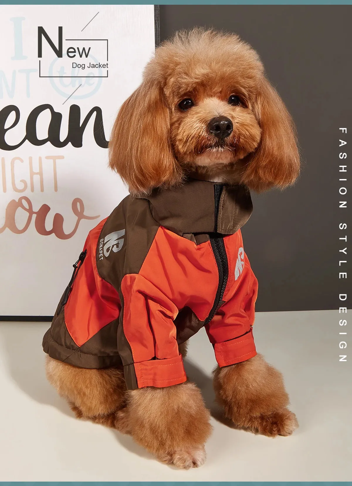 Cozy Dog Sweaters for Winter Fun