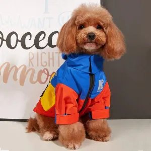 Cozy Dog Sweaters for Winter Fun