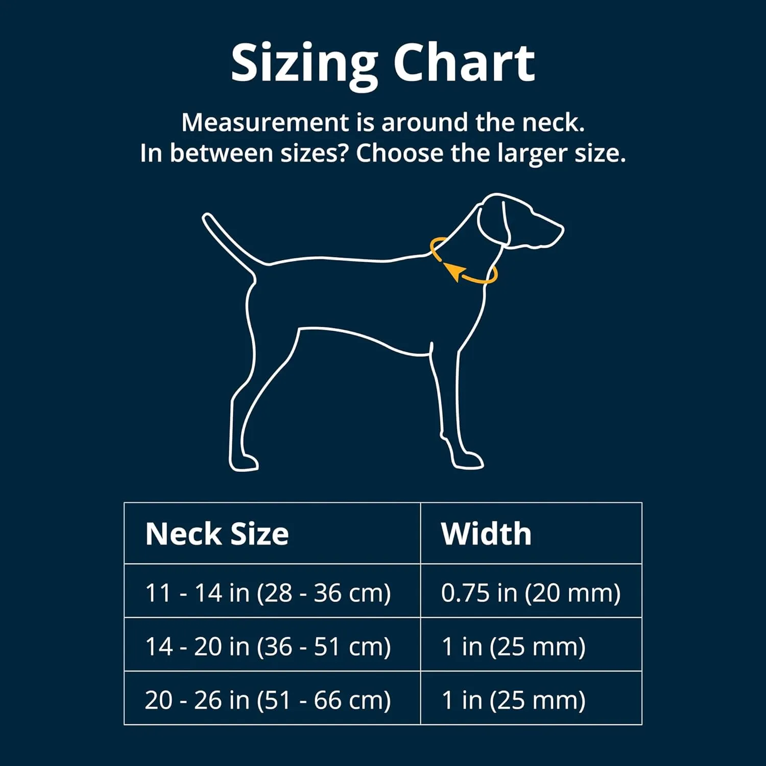 Crag Reflective Collar