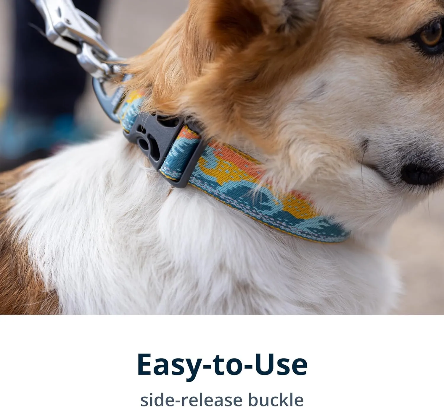 Crag Reflective Collar
