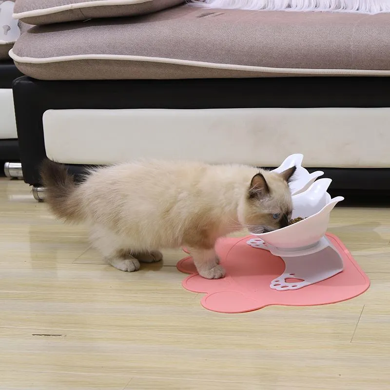 Elevated Cat Food and Water Bowls