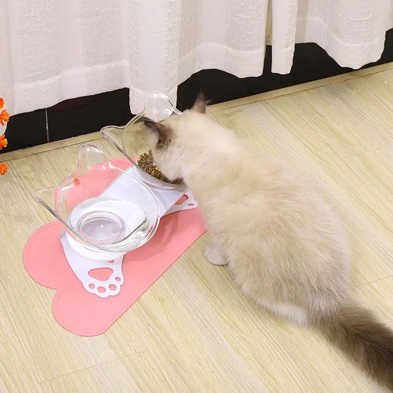 Elevated Cat Food and Water Bowls