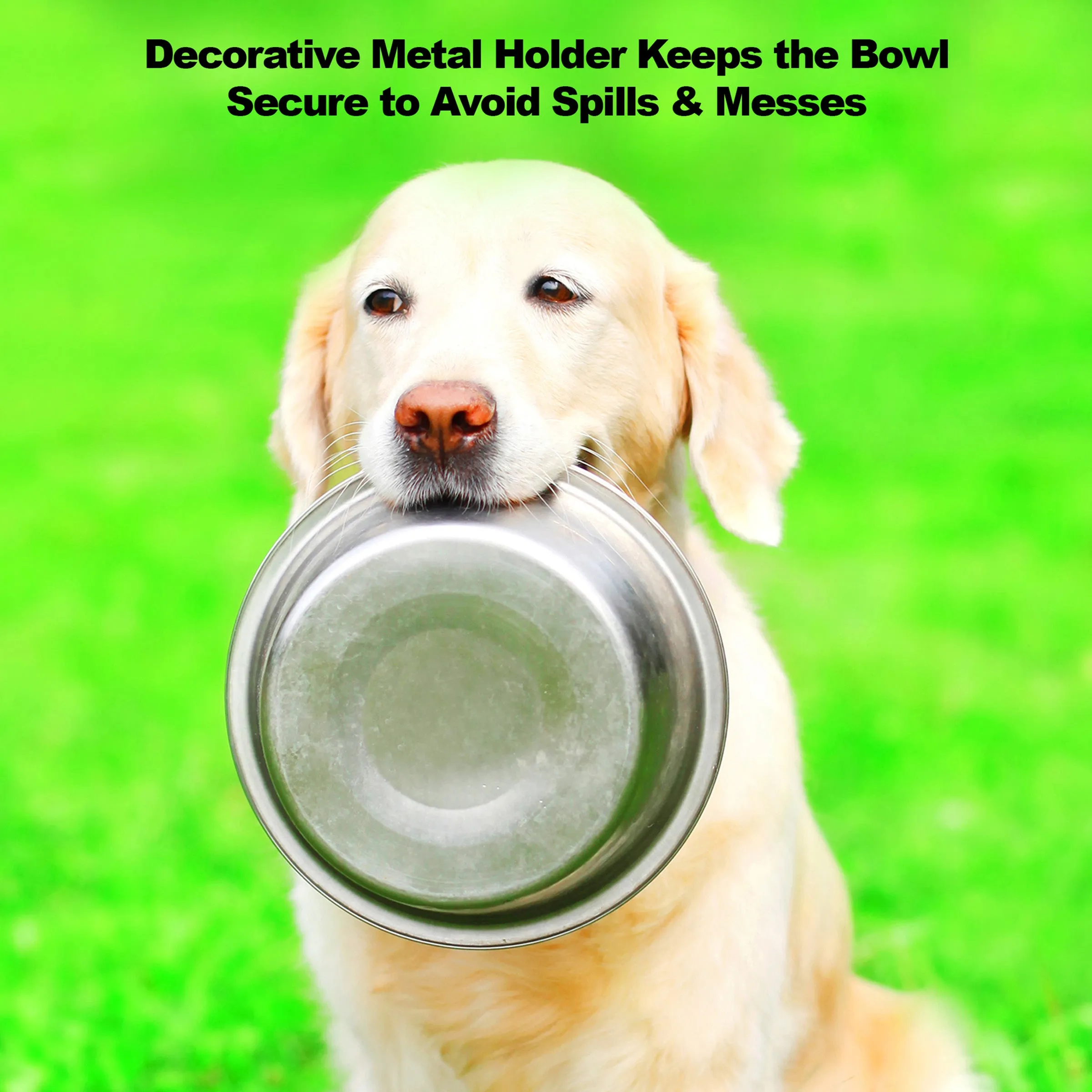 Elevated Dog Feeder with Two Bowls