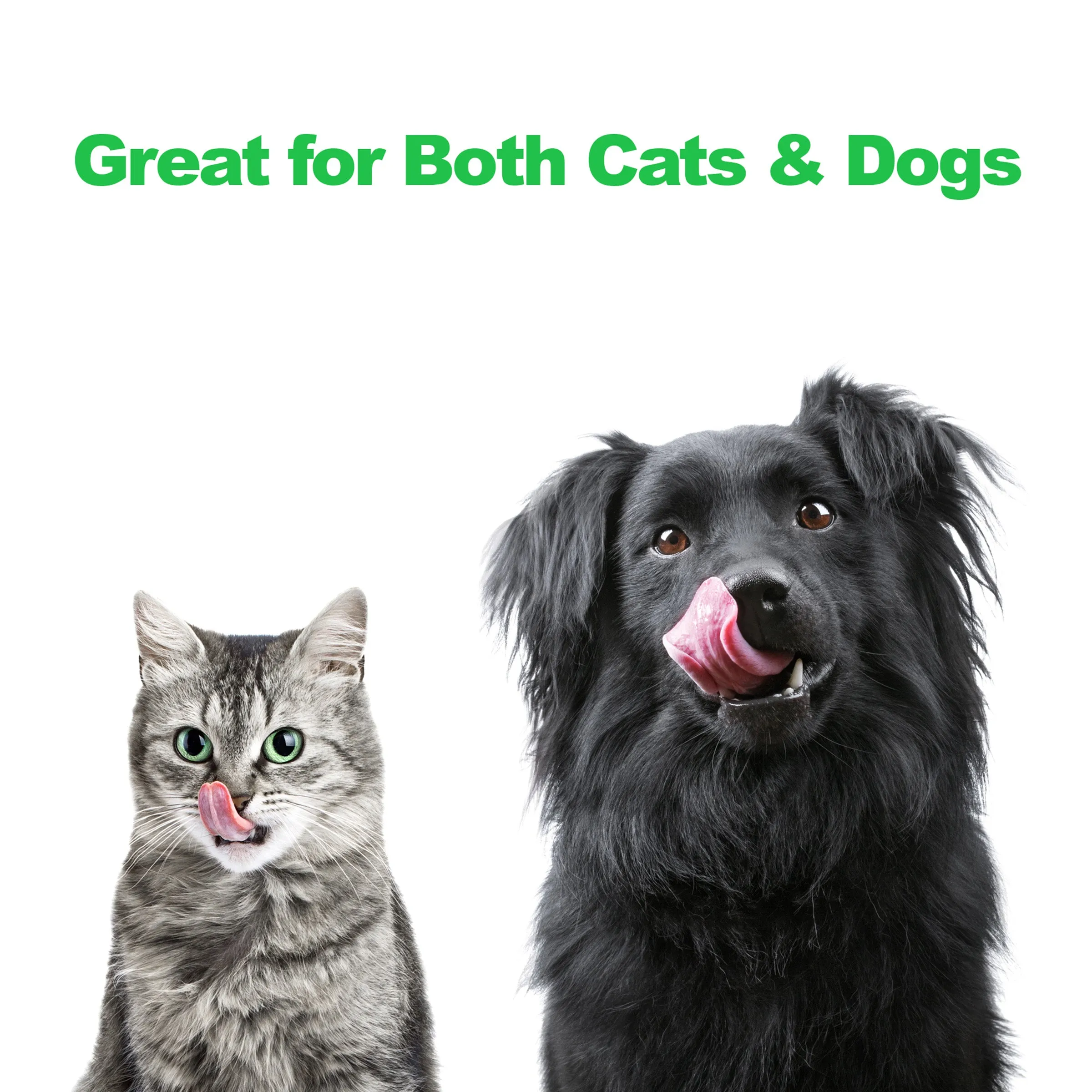 Elevated Dog Feeder with Two Bowls