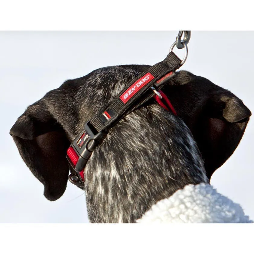 EzyDog Checkmate Dog Collar Black Large