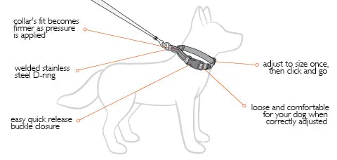 EzyDog Checkmate Dog Collar - Small