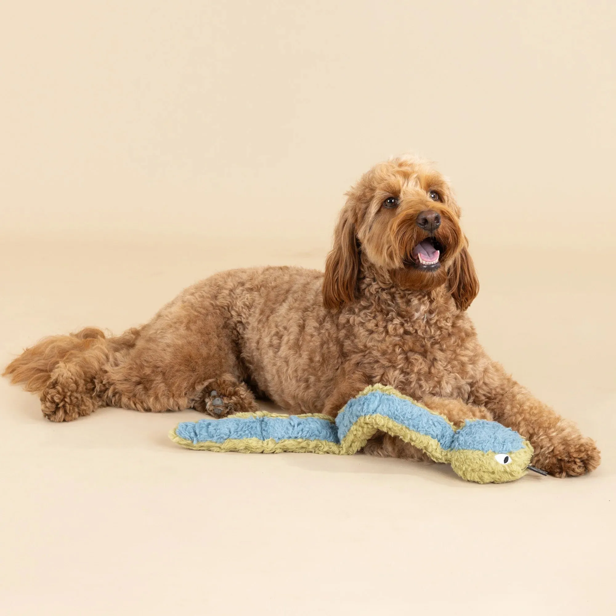 Fringe Dog Toy Earth Don't Get Wrapped Up