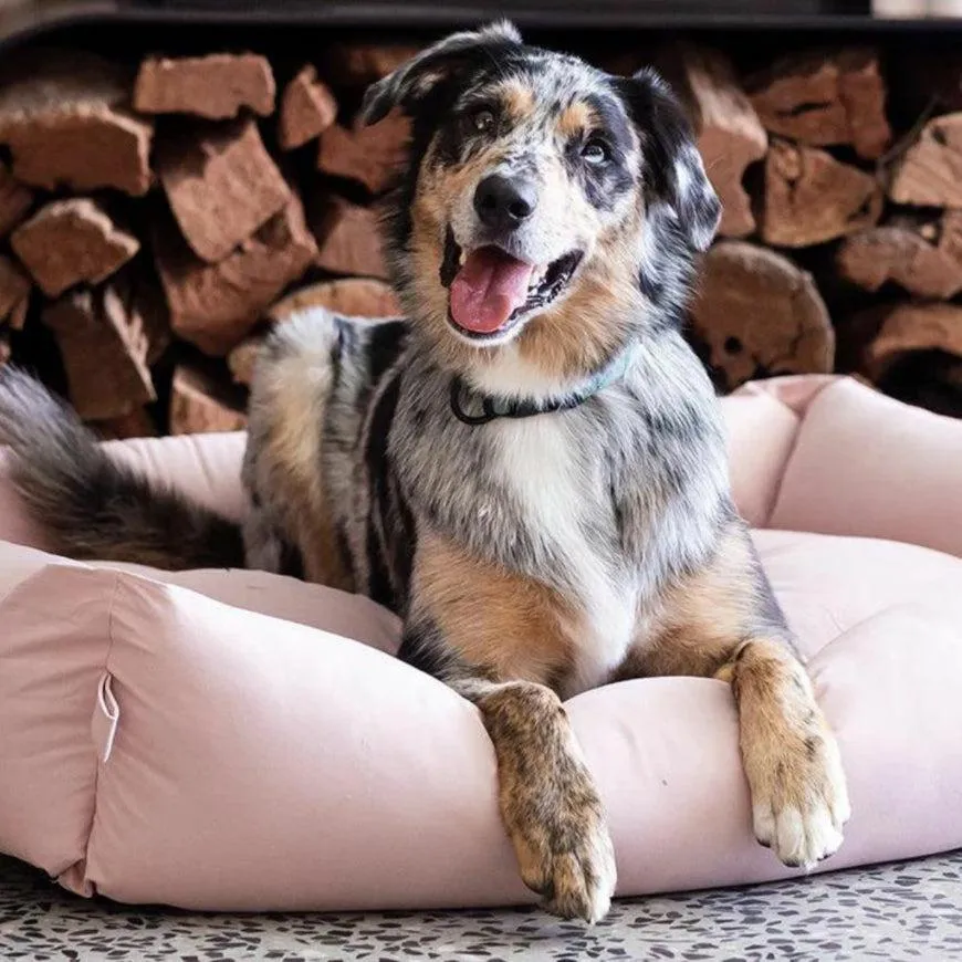 FuzzYard Life Cotton Bed - Soft Blush