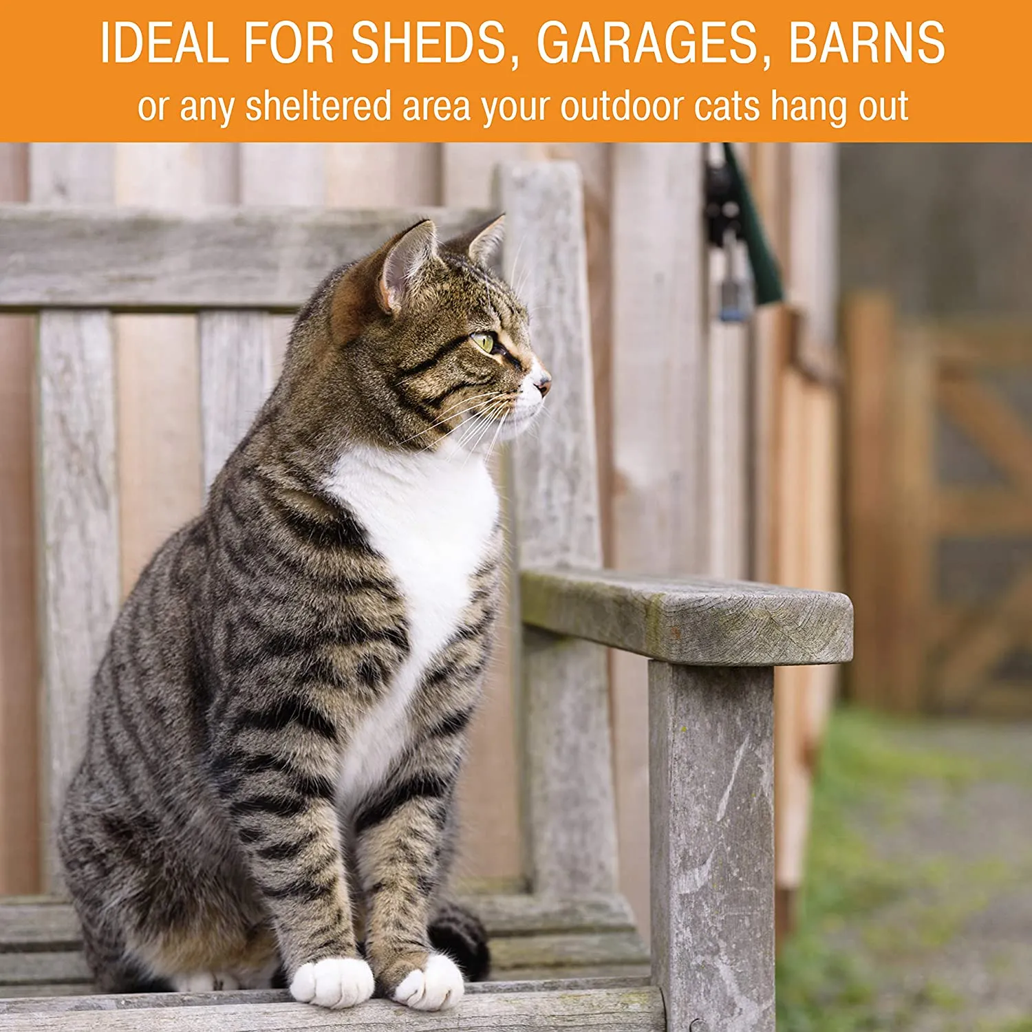 Heated Outdoor Cat Bowls - Thermo-Kitty Café - Keeps Food and Water from Freezing