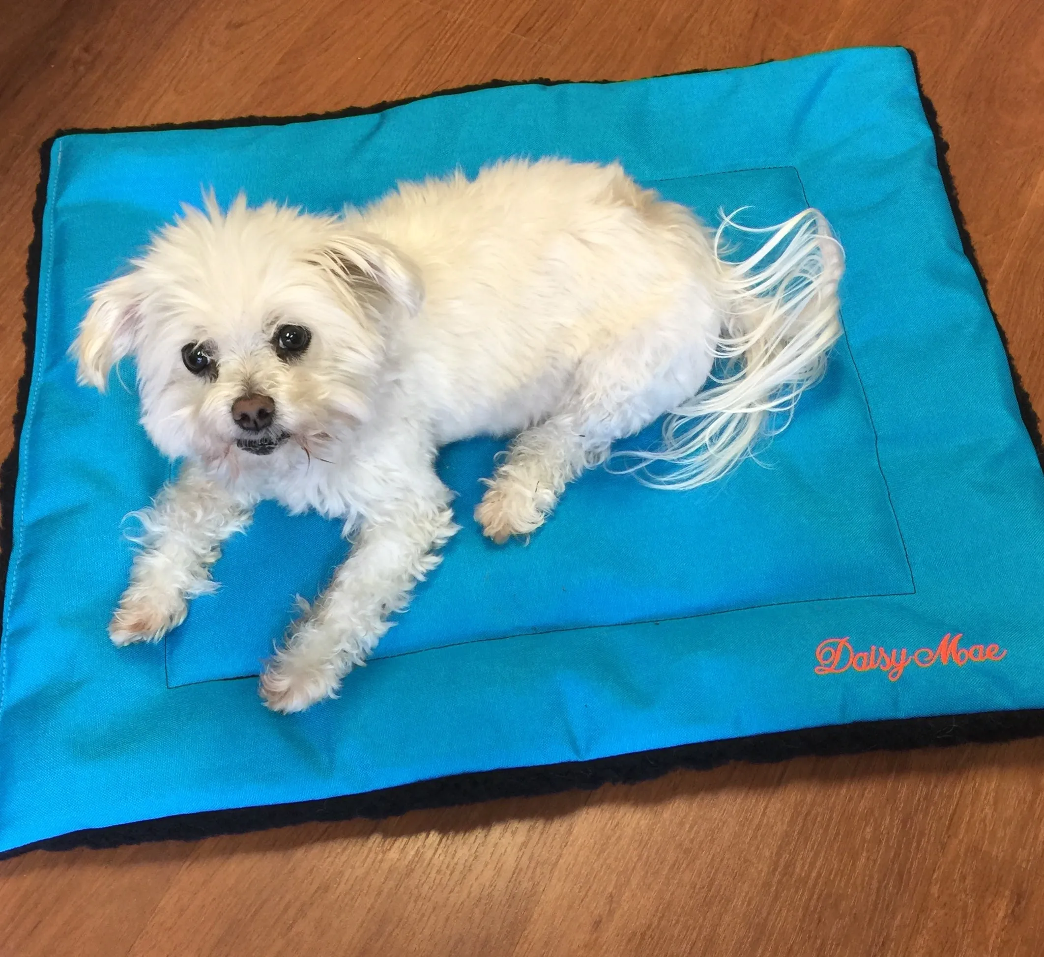 Heavy Duty Custom Embroidered USA Made Dog Bed - Crate Mat- Travel Bed