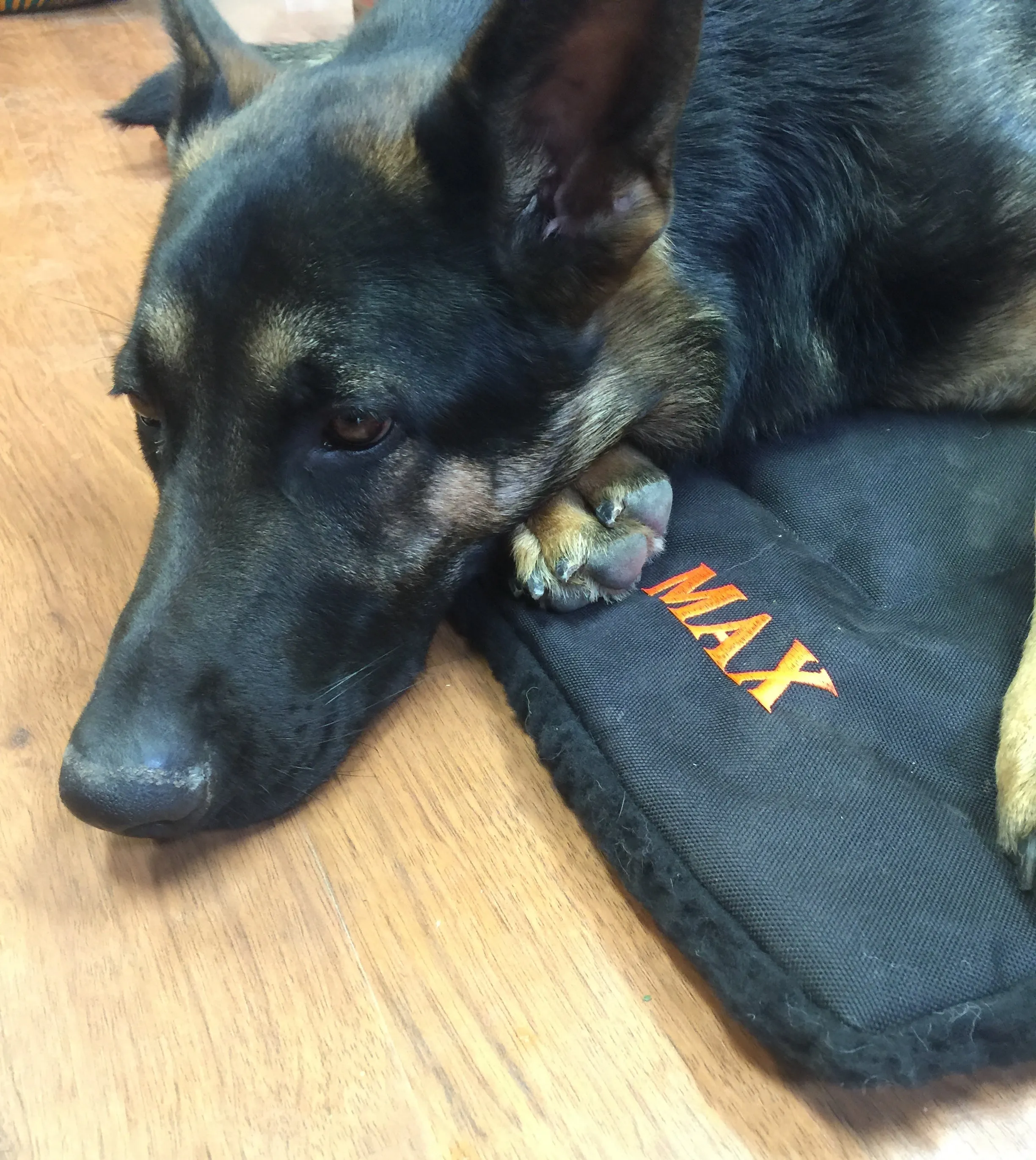 Heavy Duty Custom Embroidered USA Made Dog Bed - Crate Mat- Travel Bed