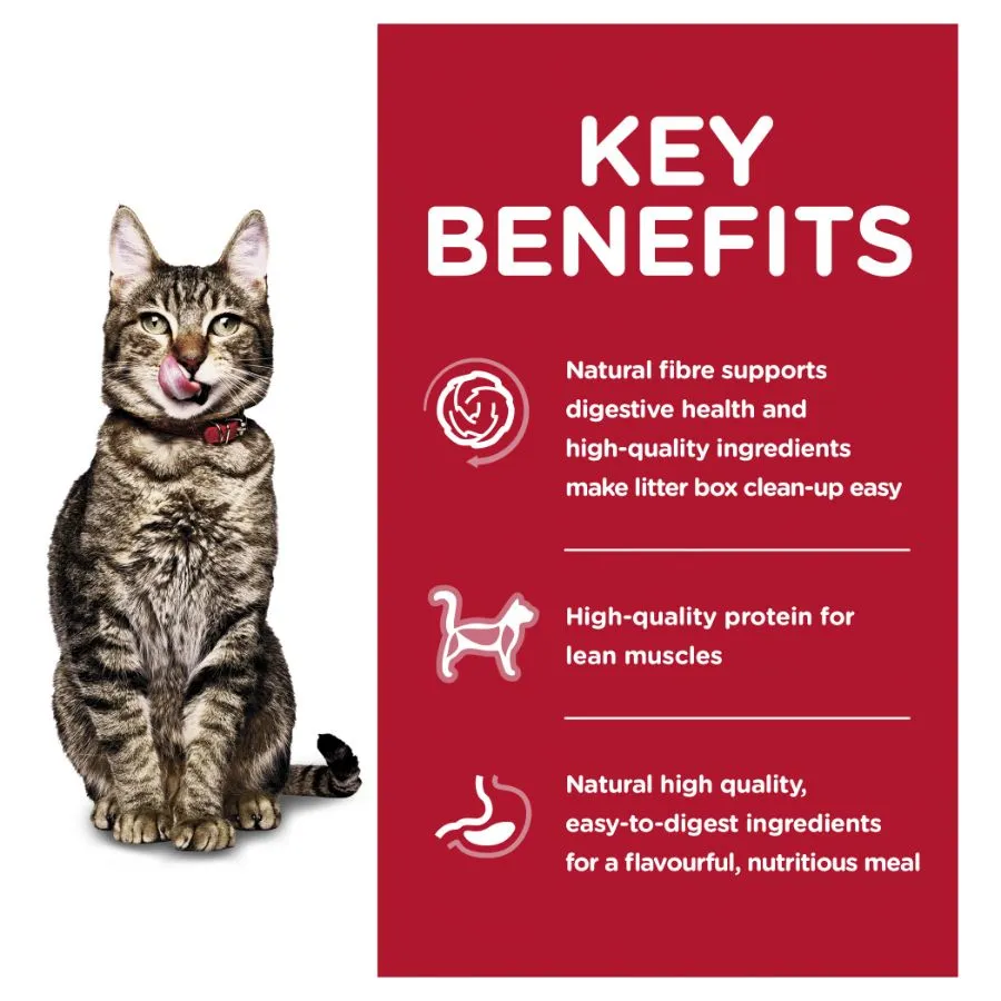 Hills Science Diet Adult 7 Plus Indoor Dry Cat Food
