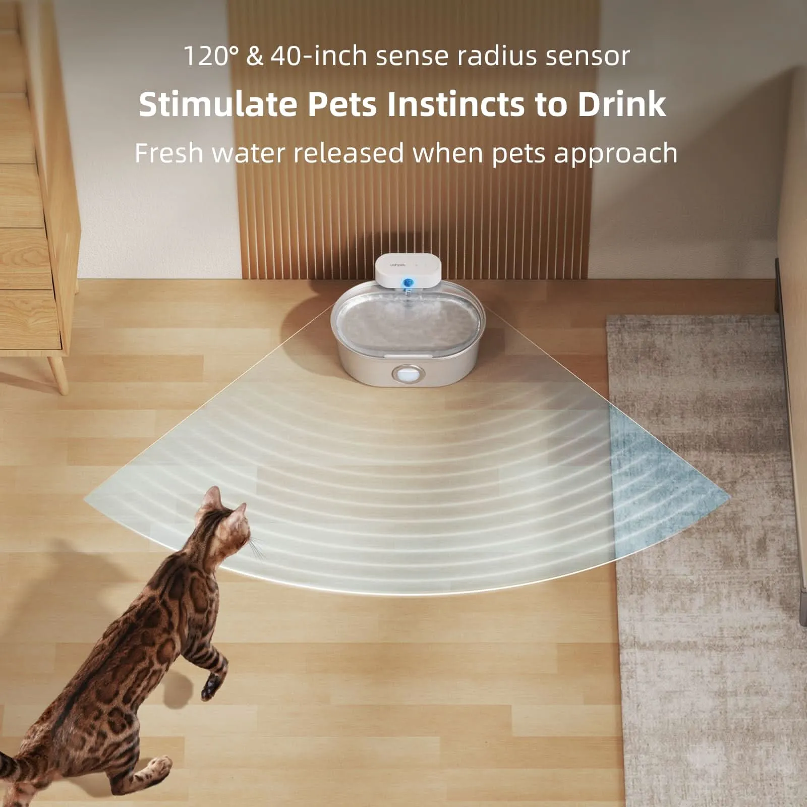 Ideal cat feeding combination (water fountain   Elevated Cat Bowls)