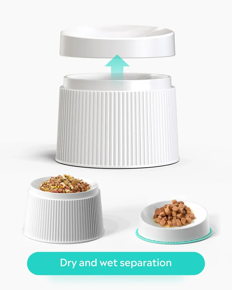 Ideal cat feeding combination (water fountain   Elevated Cat Bowls)